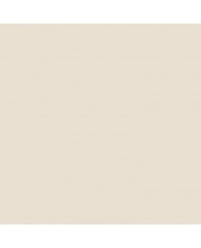 Jersey Solid Colors Sand