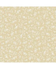 Tela para Traseras Beige