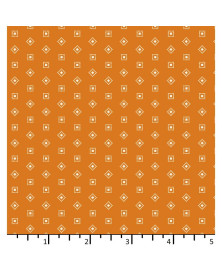Tela Colección Beyond Time Hopscotch Apricot